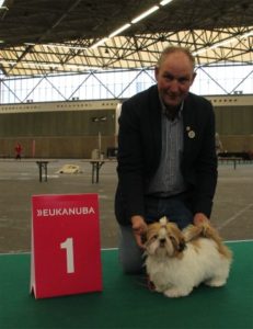 Zamira Ho van Buruf, jongste puppyklas teef: 1VB 